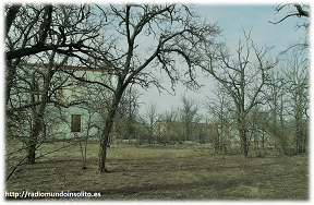Imagen: Parte trasera del caserio 
                                      vista desde el Gran pino albar