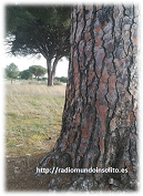 Imagen: Parte posterior del caserio