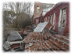 Imagen: Parte trasera del caserio 
                                      vista desde el Gran pino albar