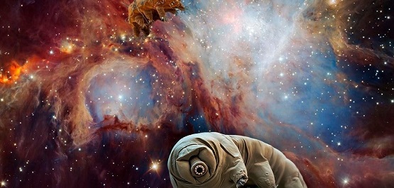 Imagen: MUNDO INSÓLITO RADIO